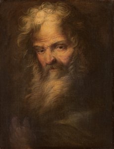 Bearded Prophet